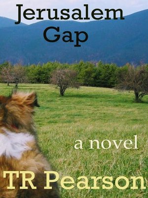 cover image of Jerusalem Gap